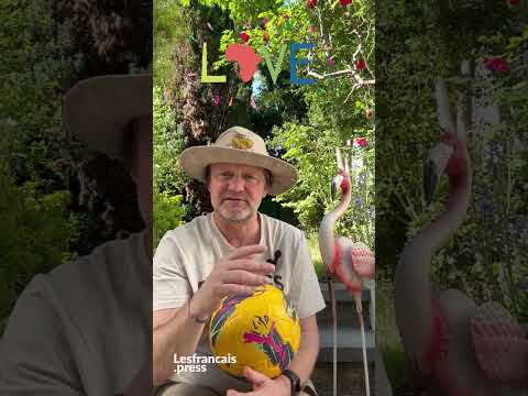 [EXTRAIT] FCEXPAT avec Julien Mette : la vie d’un entraîneur français en Afrique