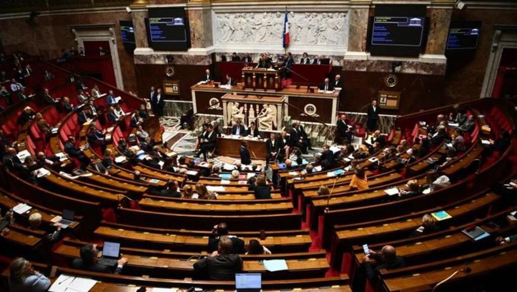 Français de l'étranger à l'Assemblée nationale