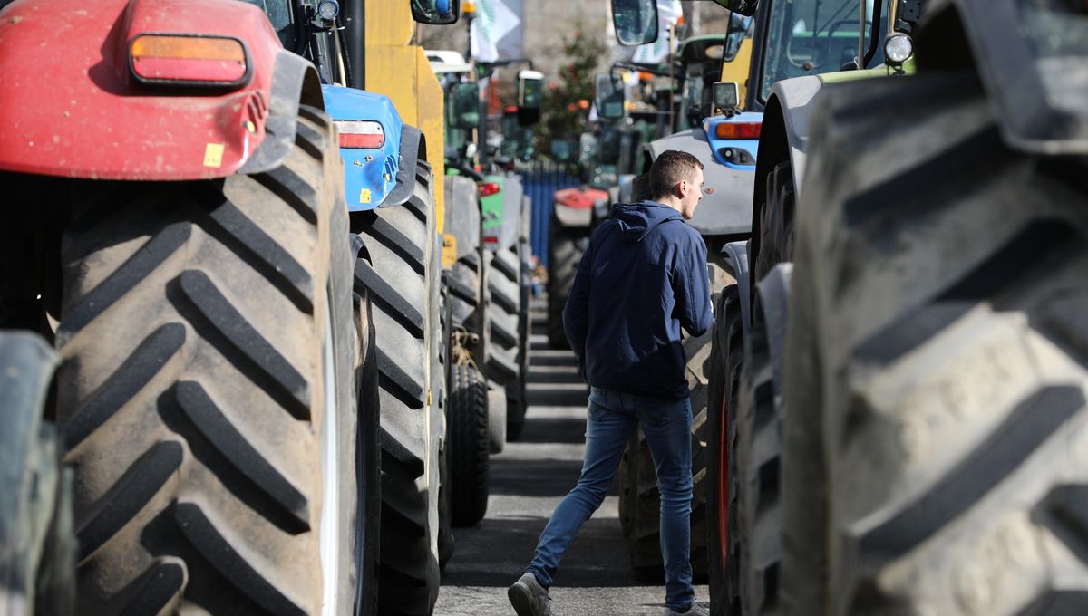 Manifestation d'agriculteurs à Bruxelles en 2024 ©Belga