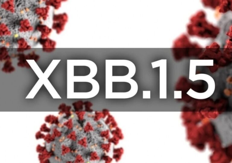 Doit-on avoir peur du variant XBB.1.5 ?