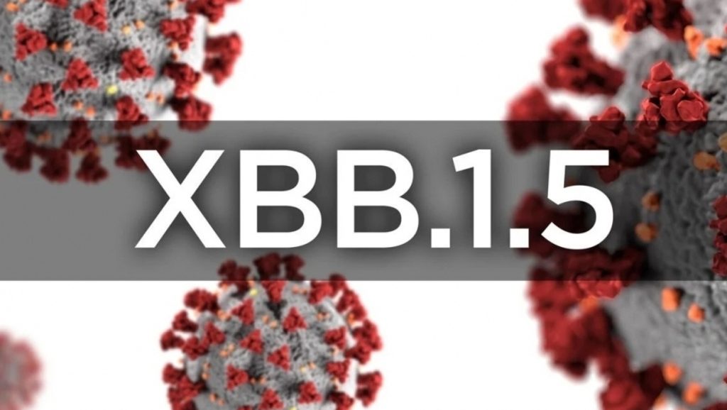 XBB.1.5