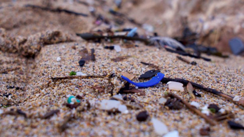 La Méditerranée détient le record de déchets marins en Europe