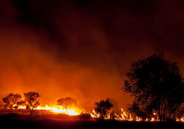 Incendies en Australie: le drame sans fin - la parole aux Français d'Australie