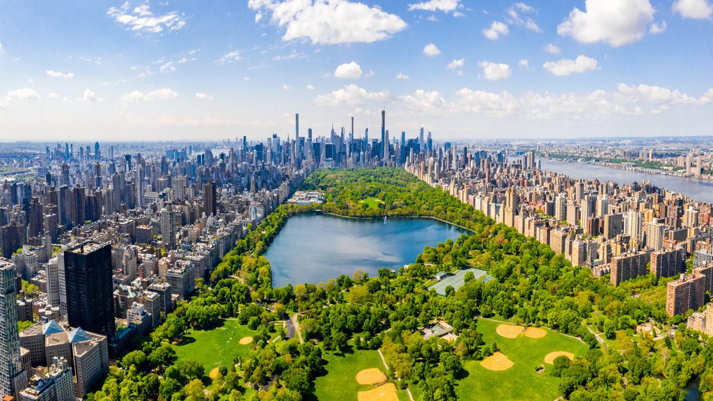 Coronavirus:  Français bloqués dans New York confinée, les USA en crise sanitaire