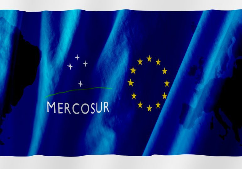 Dévoilé, le projet de traité UE-Mercosur est accusé de rater le coche sur le climat
