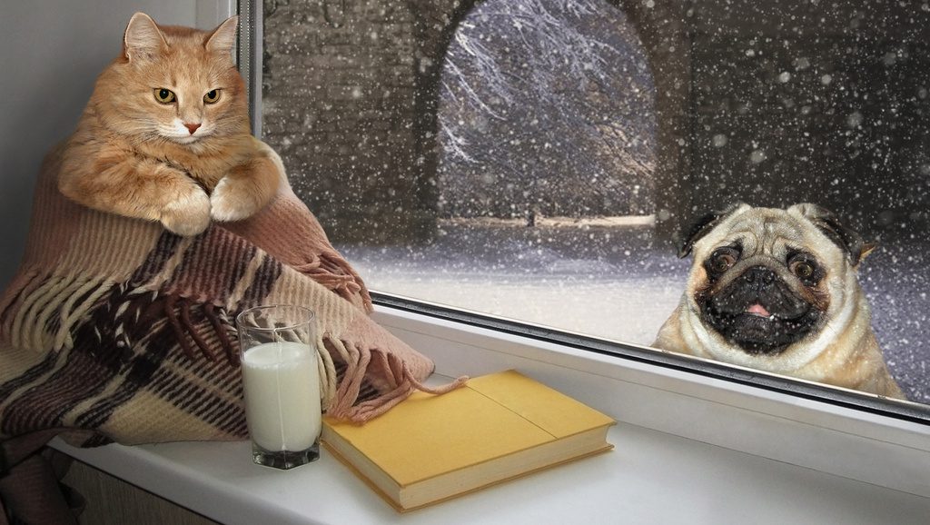4 livres pour vous accompagner en février