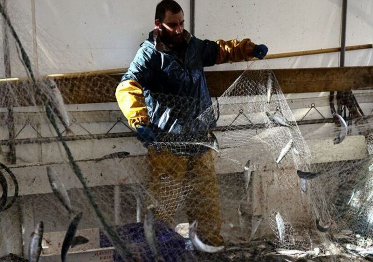 Brexit : « fiasco » pour les pêcheurs français
