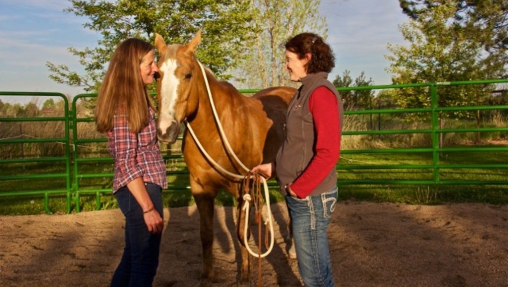 Anouk, la femme qui murmure à l’oreille des chevaux