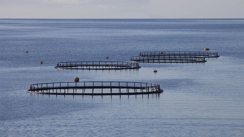 aquaculture en Méditerranée 