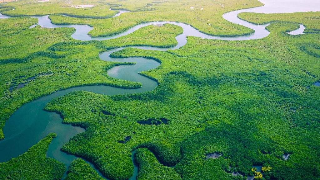 Le forum mondial de l’eau : des enjeux à entrées multiples 
