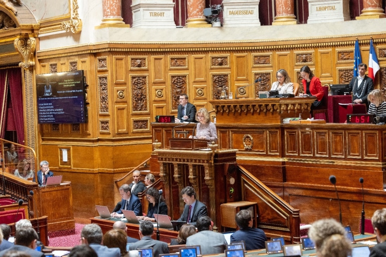 Hélène Conway Mouret à la tribune du Sénat
