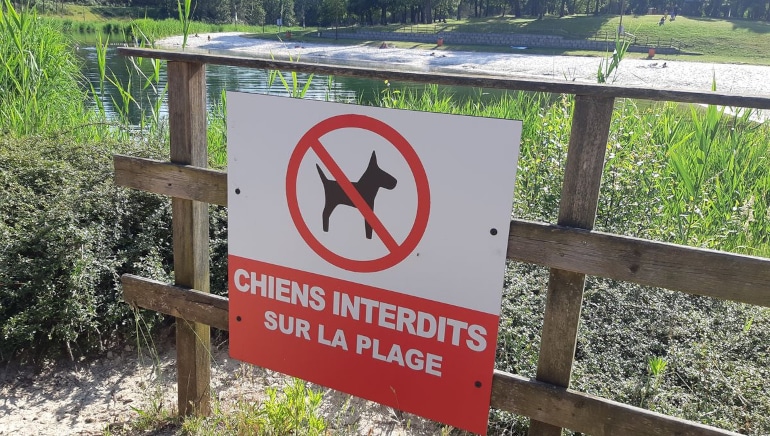 Chiens interdits sur la plage