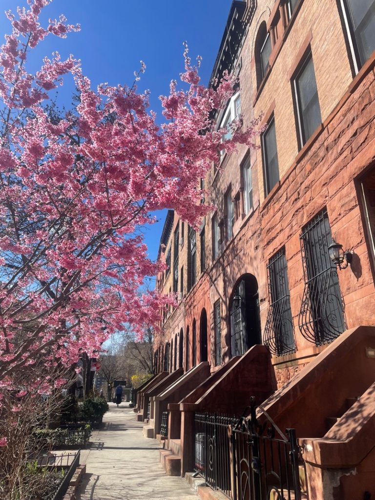 Vue sur les maisons de ville dans le quartier de Manhattan Valley au nord de Central Park