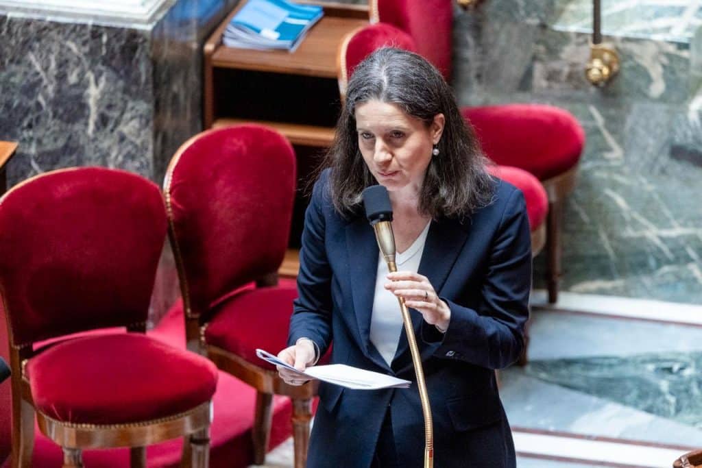 Nathalie Coggia d&eacute;put&eacute;e des Fran&ccedil;ais de l'&eacute;tranger de la 5&egrave;me circonscription dans l'h&eacute;micycle de l'Assembl&eacute;e nationale