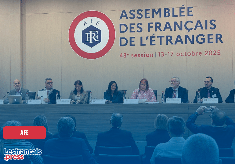 AFE : quels groupes politiques pour les 90 nouveaux élus ?