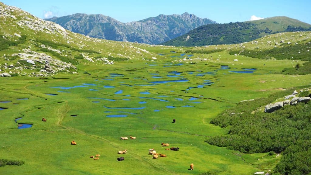 Les Pozzines de Corse