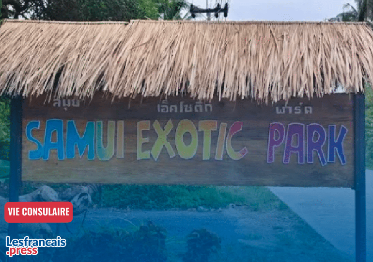 L'affaire discriminatoire de l'Exotic Park à Koh Samui secoue les Français de Thaïlande. Découvrez l'impact, le profil des expatriés et les enjeux juridiques.