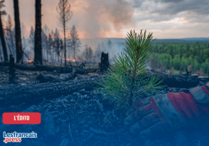 L’incendie qui cache la forêt