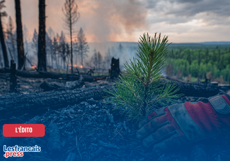 L’incendie qui cache la forêt