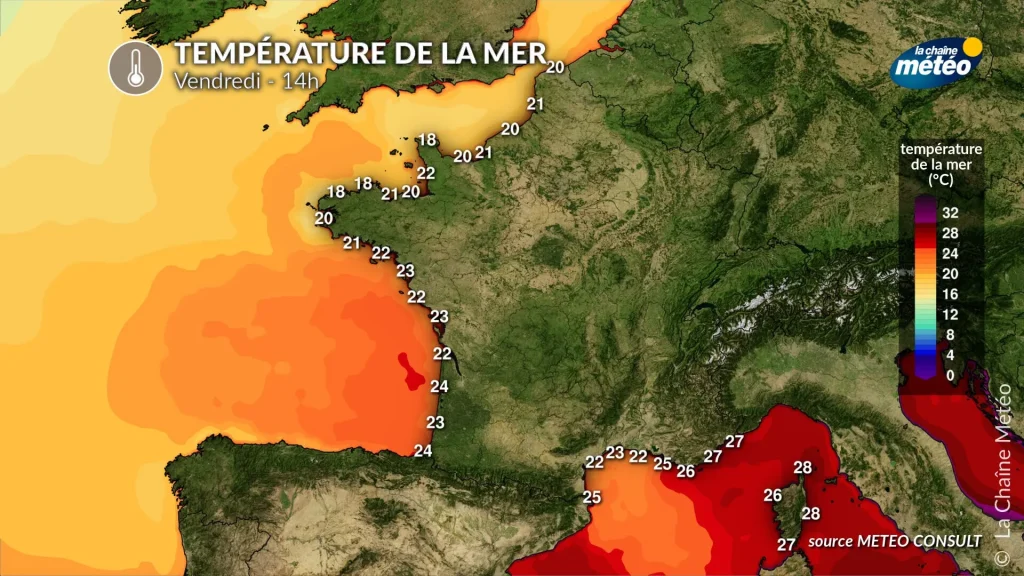 Ce réchauffement traduit une tropicalisation progressive, aux impacts majeurs sur les écosystèmes, la biodiversité et les