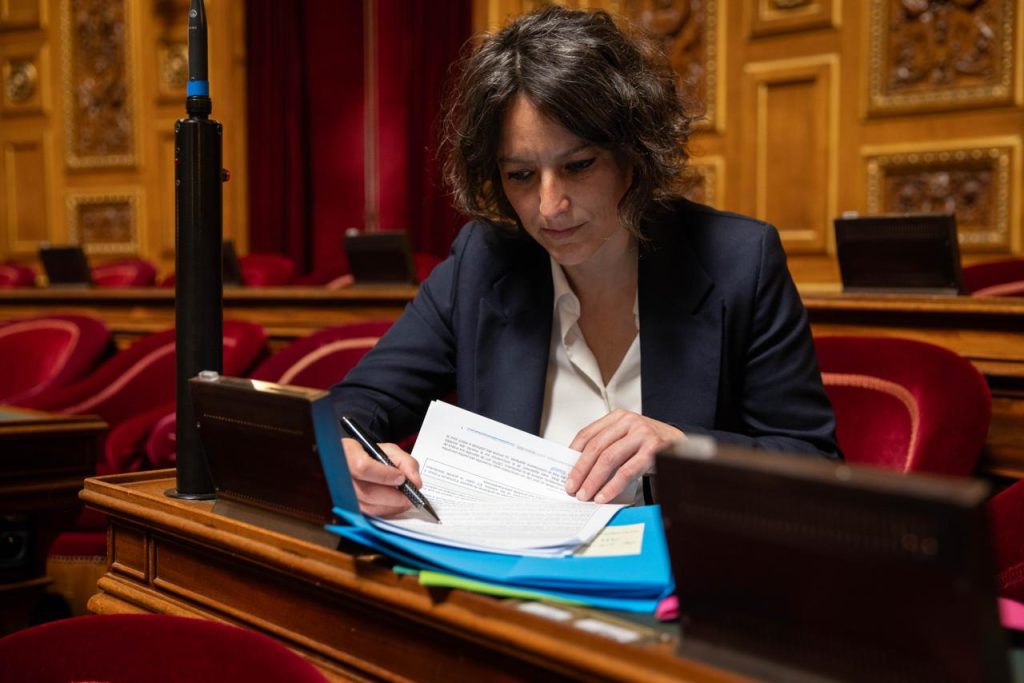 Mélanie Vogel, tête de liste « Rassemblement écologiste et solidaire pour les Français•es de l’étranger, élections sénatoriales des Français établis hors de France