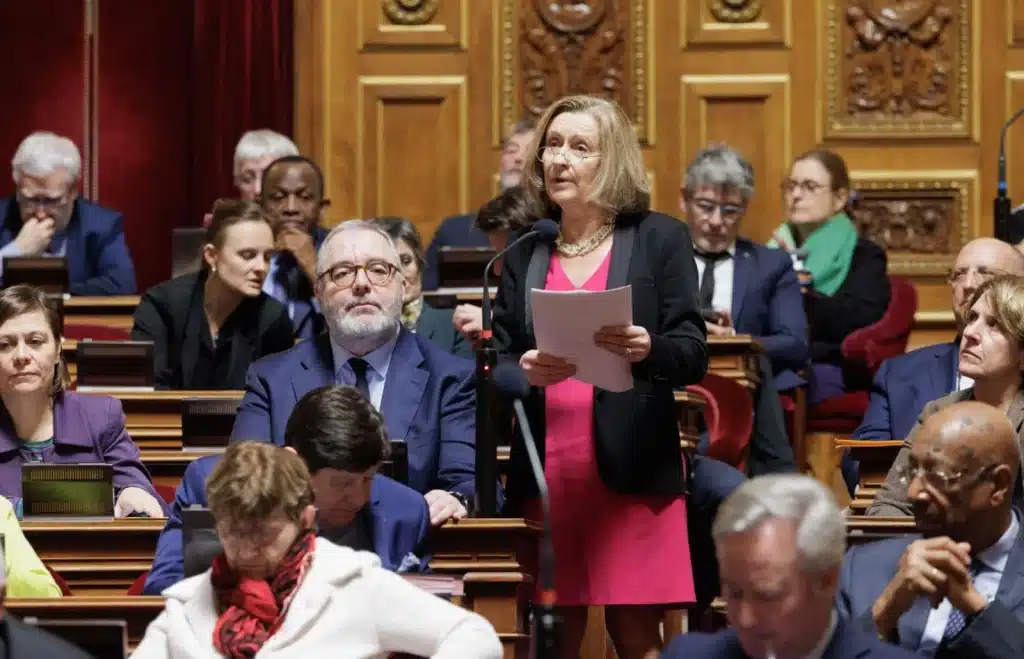 Hélène Conway-Mouret, sénatrice PS des Français de létranger intervenant en séance plénière