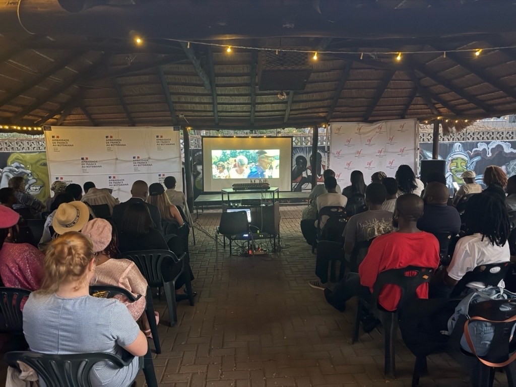 France &times; Botswana Film Days, Soir&eacute;e cin&eacute;ma