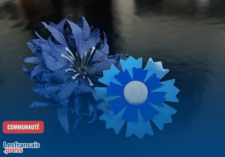 Le Bleuet de France : faire fleurir la mémoire, ici comme ailleurs