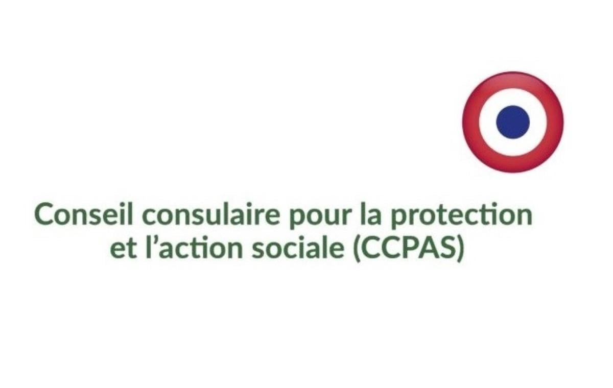 Conseil consulaire pour la protection et l'action sociale (CCPAS)