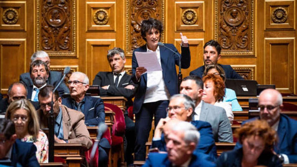 droit à l'avortement dans la constitution