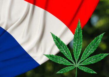Légalisation du cannabis : la France va suivre « de près » le projet de loi allemand