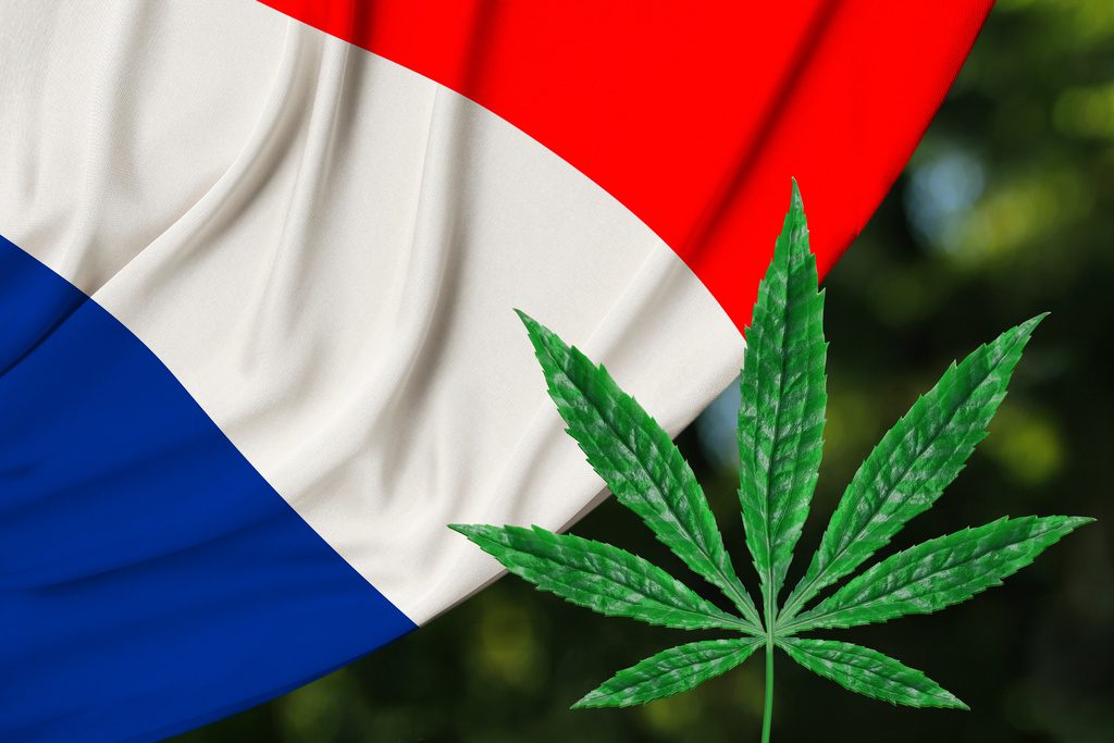 Légalisation du cannabis : la France va suivre « de près » le projet de loi allemand