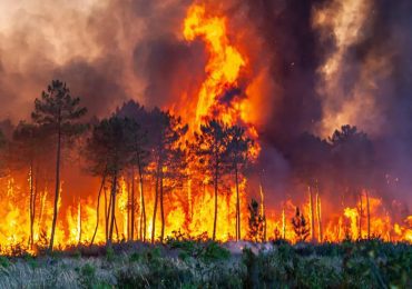 Lutte contre les incendies : les pays européens se serrent les coudes
