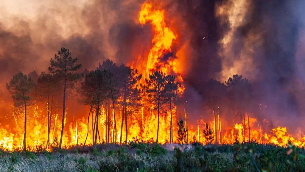 Lutte contre les incendies : les pays européens se serrent les coudes