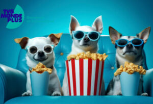 chiens