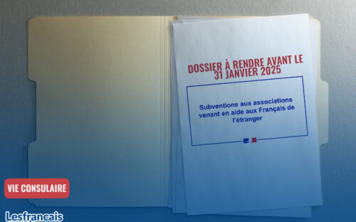 Campagne 2025 pour les OLES venant en aide aux Français de l’étranger