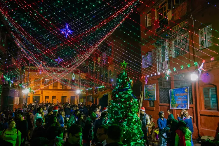 Des manguiers décorés pour Noël en Inde