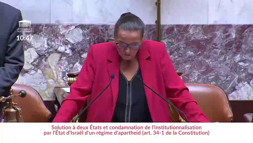 La résolution condamnant « le régime d’apartheid » en Israël divise la gauche