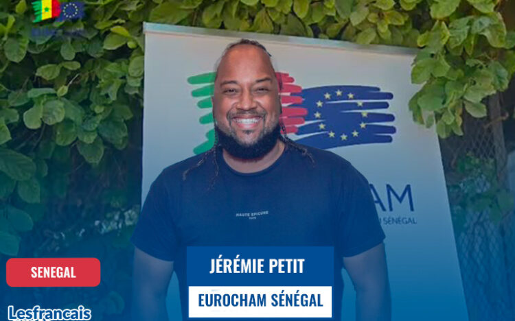France – Sénégal : le rêve africain existe-t-il toujours ?