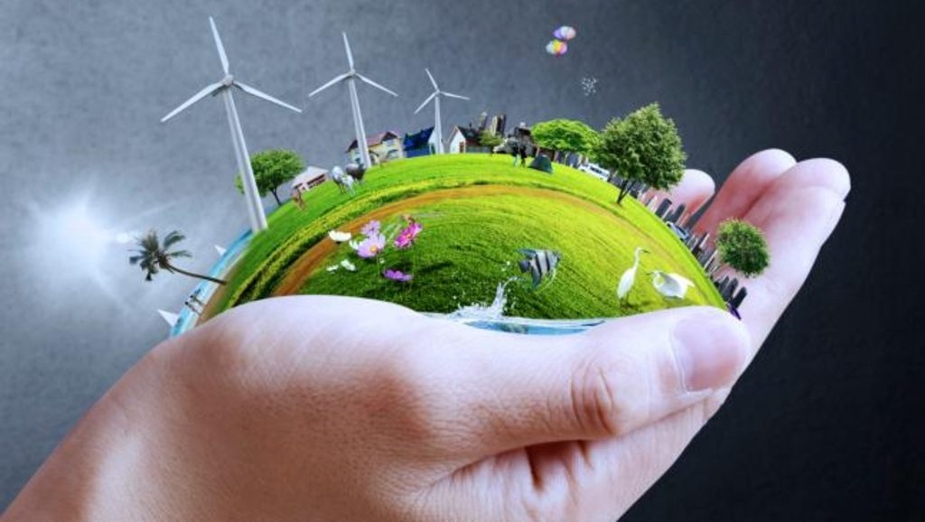 Quelle rentabilité pour la transition énergétique ?