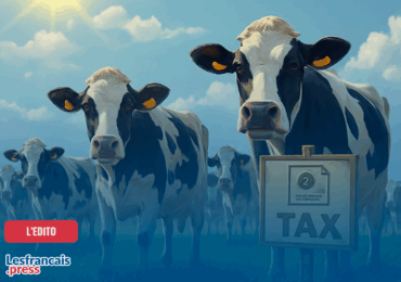 Les vaches ne paient pas d’impôts. Les riches non plus