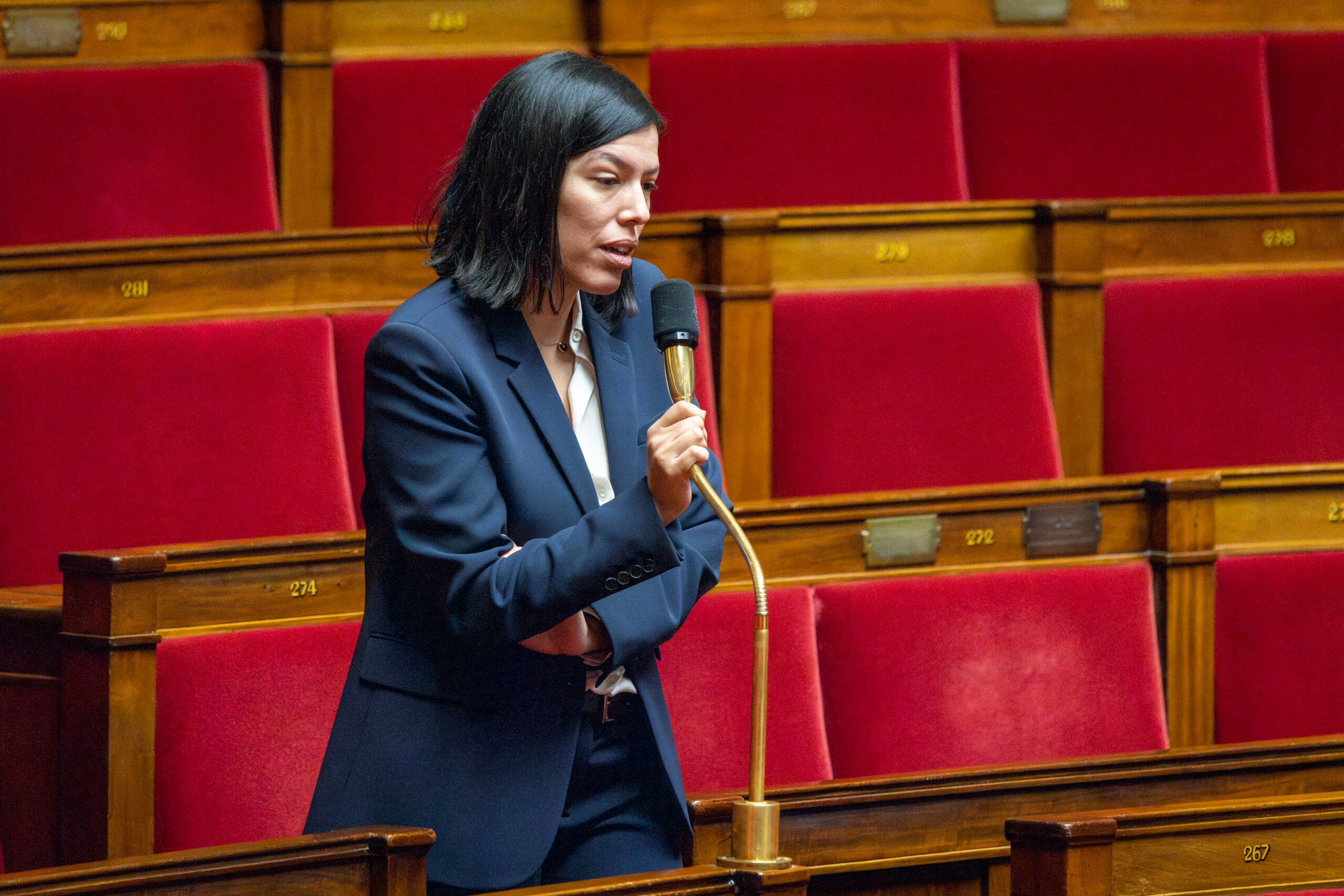 La députée Marie-Ange Rousselot lors de la séance de questions orales sans débat du 21 janvier 2025 à l'Assemblée nationale