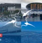 Les aéroports français et les expatriés !
