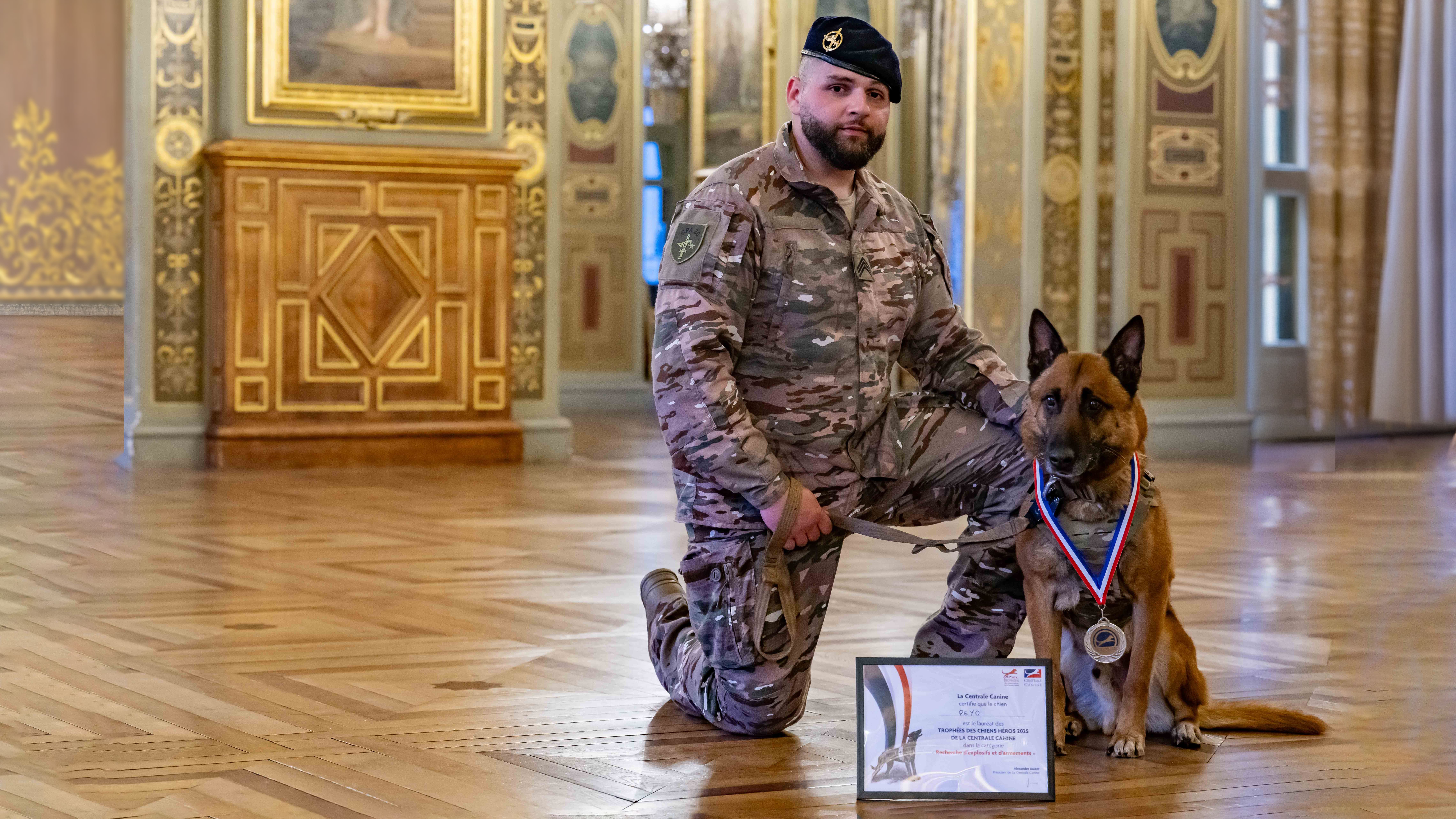 Peyo, premier chien de l'armée de l'Air et de l'Espace dans les salons du ministère de la défense.©SEPA