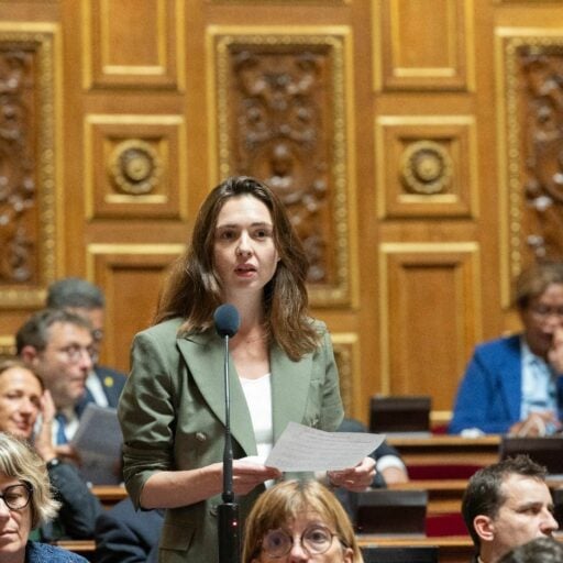 Sophie Briante Guillemont dans l’hémicycle du Sénat