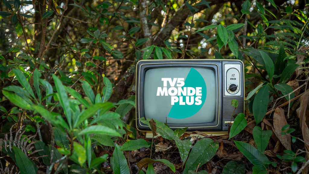 En novembre, TV5MONDEplus s&rsquo;est mobilisée pour notre planète bleue