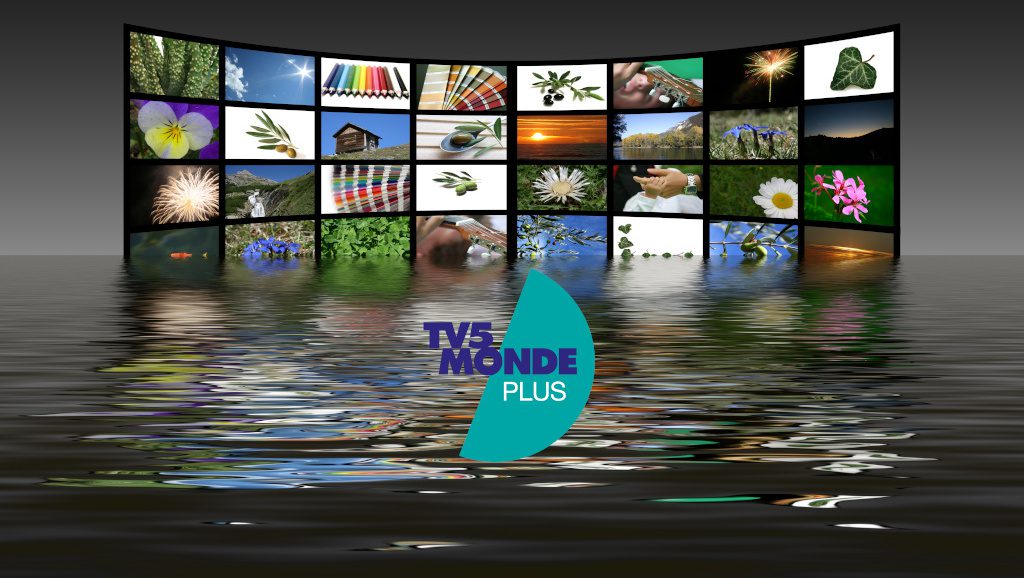En juin, sur TV5MONDEplus, voyagez du Cameroun au Canada !