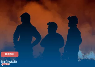 Un été 2025 brûlant dans l’hémisphère nord