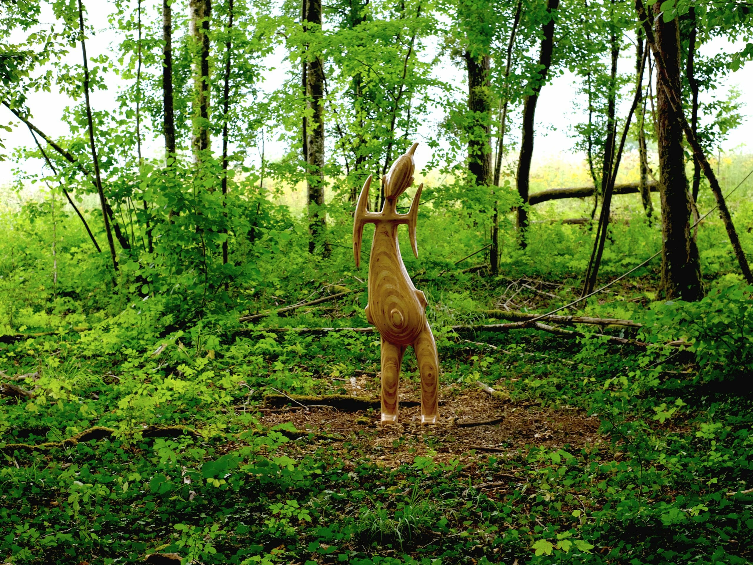 Vent des Forêts dans la Meuse