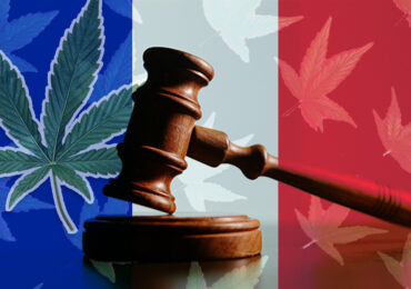 Les Français de l'étranger et la légalisation du cannabis